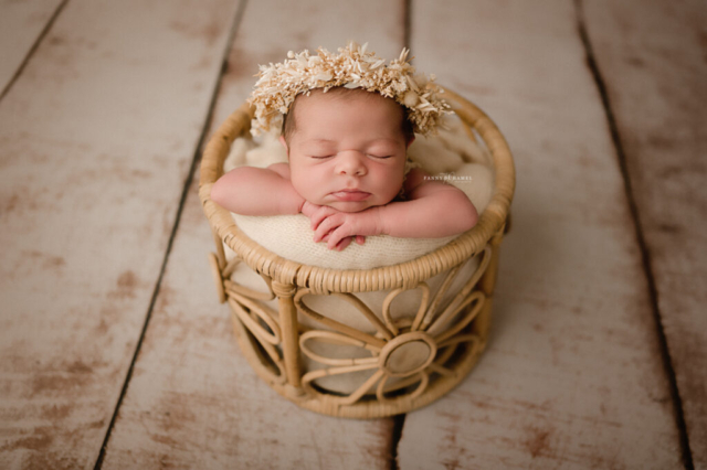 Photographe naissance lille