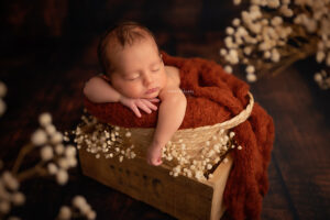 Photographe bebe lille