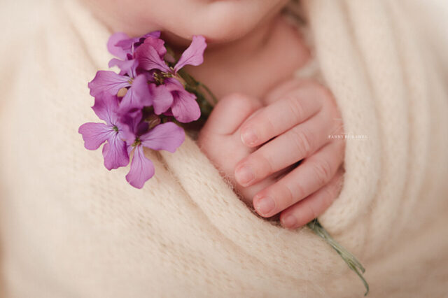 Photographe naissance Arras
